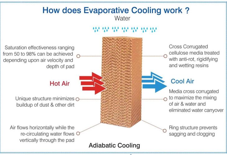 Cooling Pads